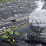 大正紡績コットンファーム～綿堆肥（COTTON COMPOST)